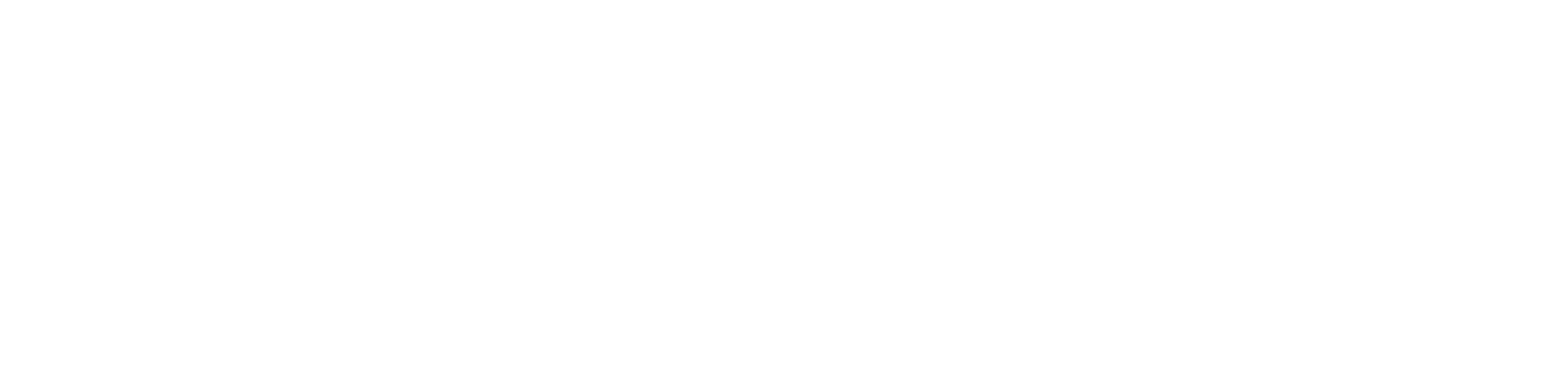 07-NetSafe.png